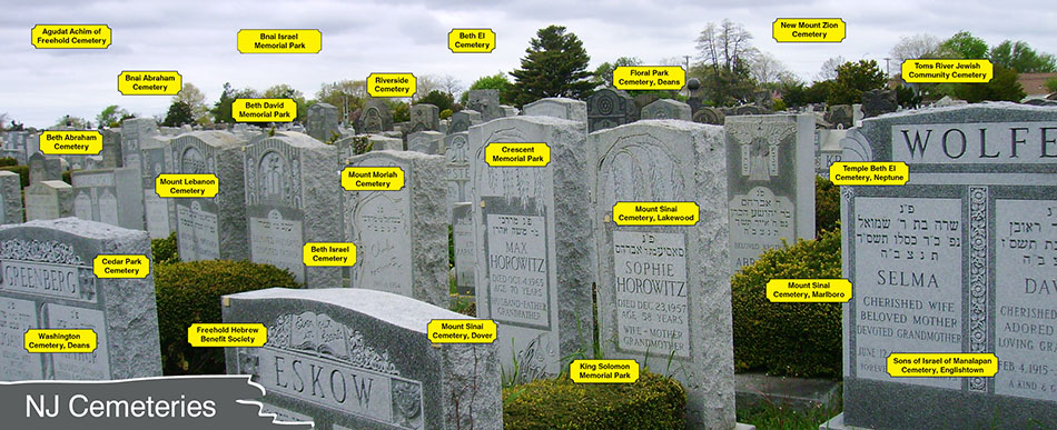 Slide 6